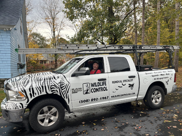 Wayne Witkowski, Problem Animal Control Agent, Owner of Wildlife Control